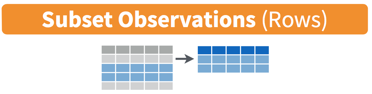 Diagram showing how the filter() function selects a subset of rows from a data frame based on a logical condition, returning a new data frame with only the matching rows.