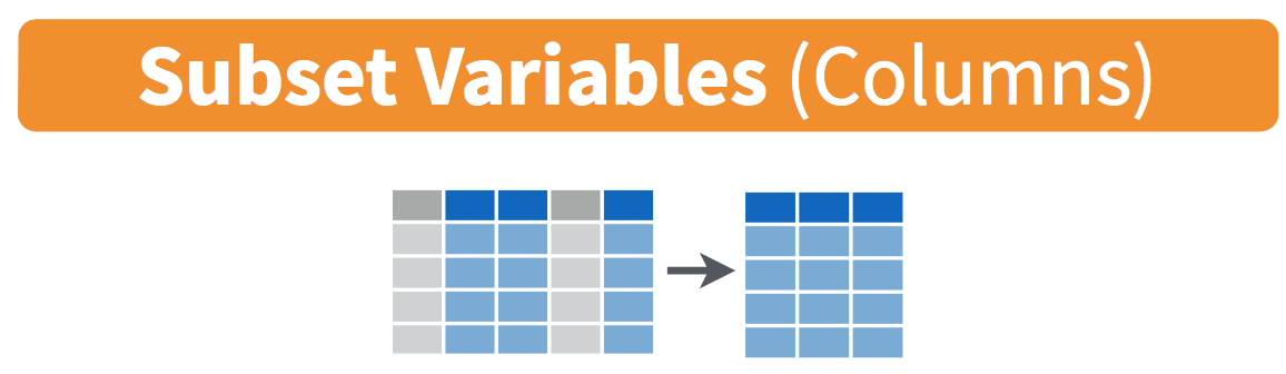 Diagram showing how the select() function keeps only the specified columns from a data frame, returning a new data frame with only those variables.