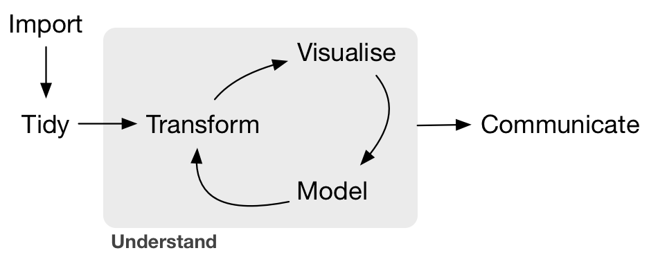 A diagram showing the data science pipeline: Import, Tidy, Transform, Visualize, Model, and Communicate, with Understand encompassing Transform, Visualize, and Model.