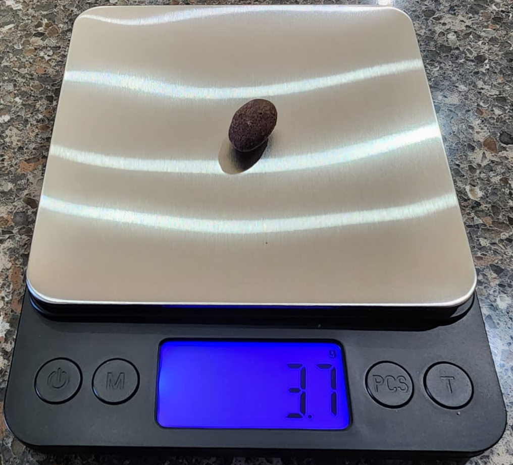 Photo of a single chocolate-covered almond being weighed on a scale.