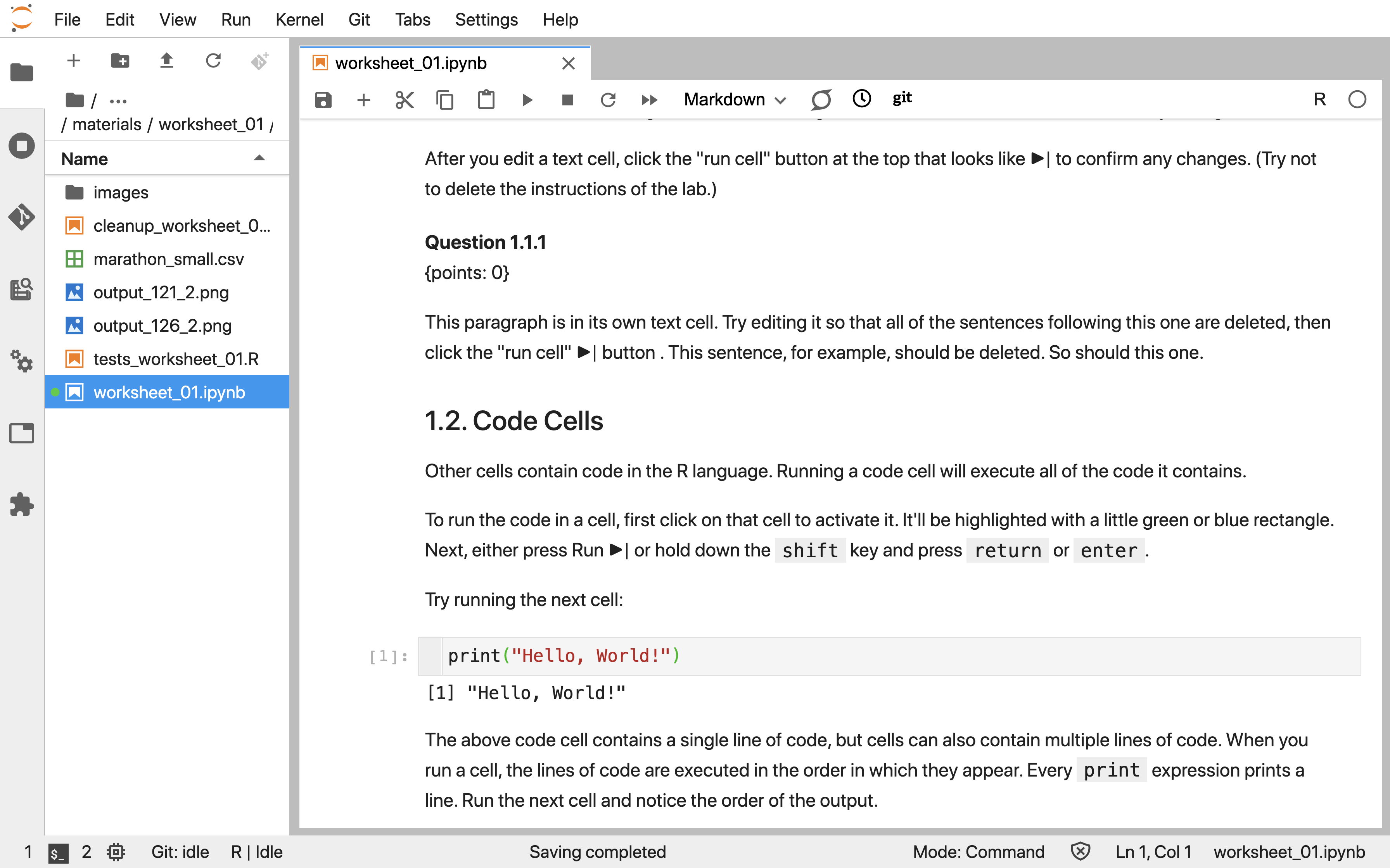 Screenshot of a Jupyter Notebook showing code cells and output.