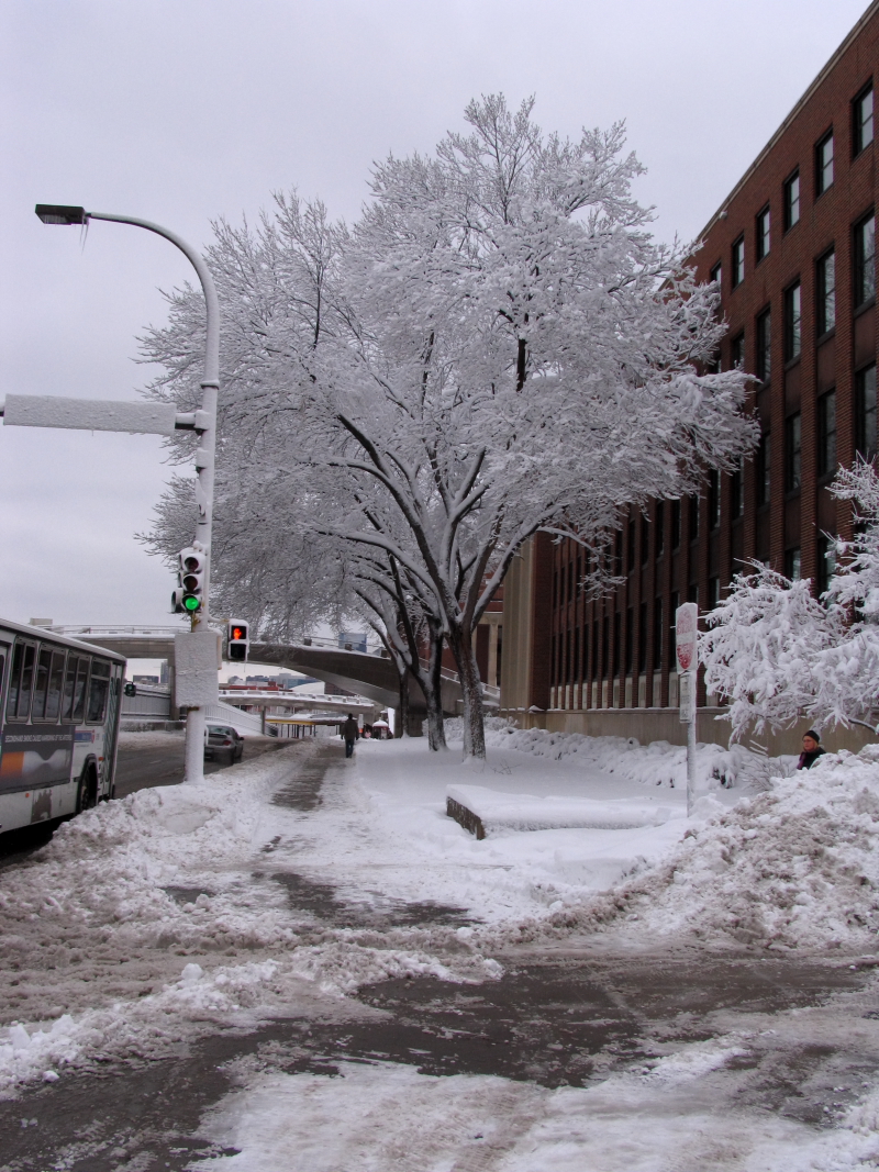 A wintery scene, where the trees are covered in snow, and there are large piles of snow on the sides of the roads.