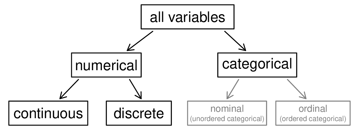 A tree diagram showing "all variables" at the top, branching into "numeric" and "categorical". The "numeric" branch splits into "continuous" and "discrete", while the "categorical" branch splits into "nominal (unordered categorical)" and "ordinal (ordered categorical)".