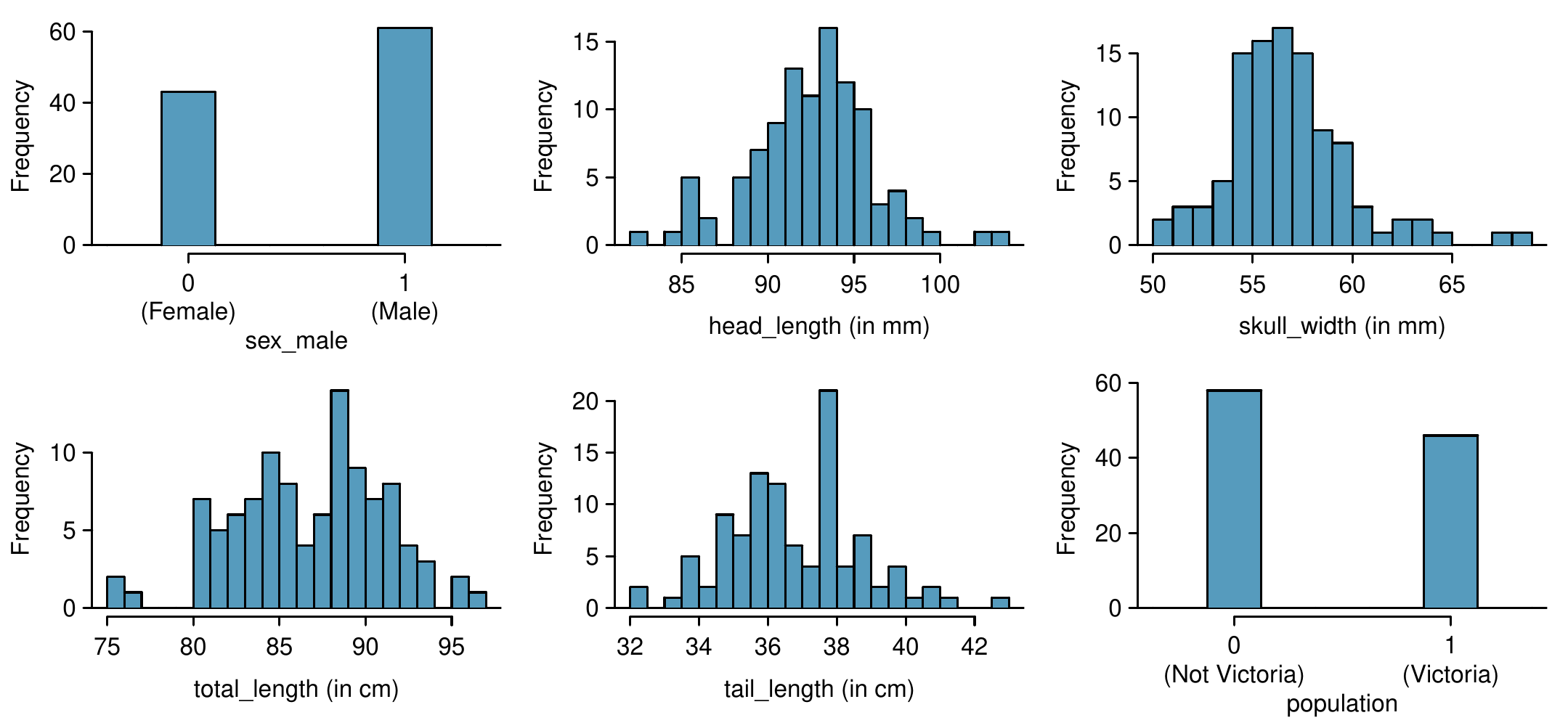 Six plots are shown for the distributions of each predictor variable. For the sex_male categorical variable, about 42 observations are "0 (female)" and 65 are "1 (male)". For head_length (in mm), the distribution is approximately bell-shaped, centered at about 93, with a standard deviation of about 3. For skull_width (in mm), the distribution is slightly right-skewed with its peak at about 56 and a standard deviation of about 3. For total_length (in cm), most values range from about 80 to 95. For tail_length (in cm), most data are between about 33 and 42. For the population categorical variable, about 58 observations are "0 (Not Victoria)" and 45 are "1 (Victoria)".