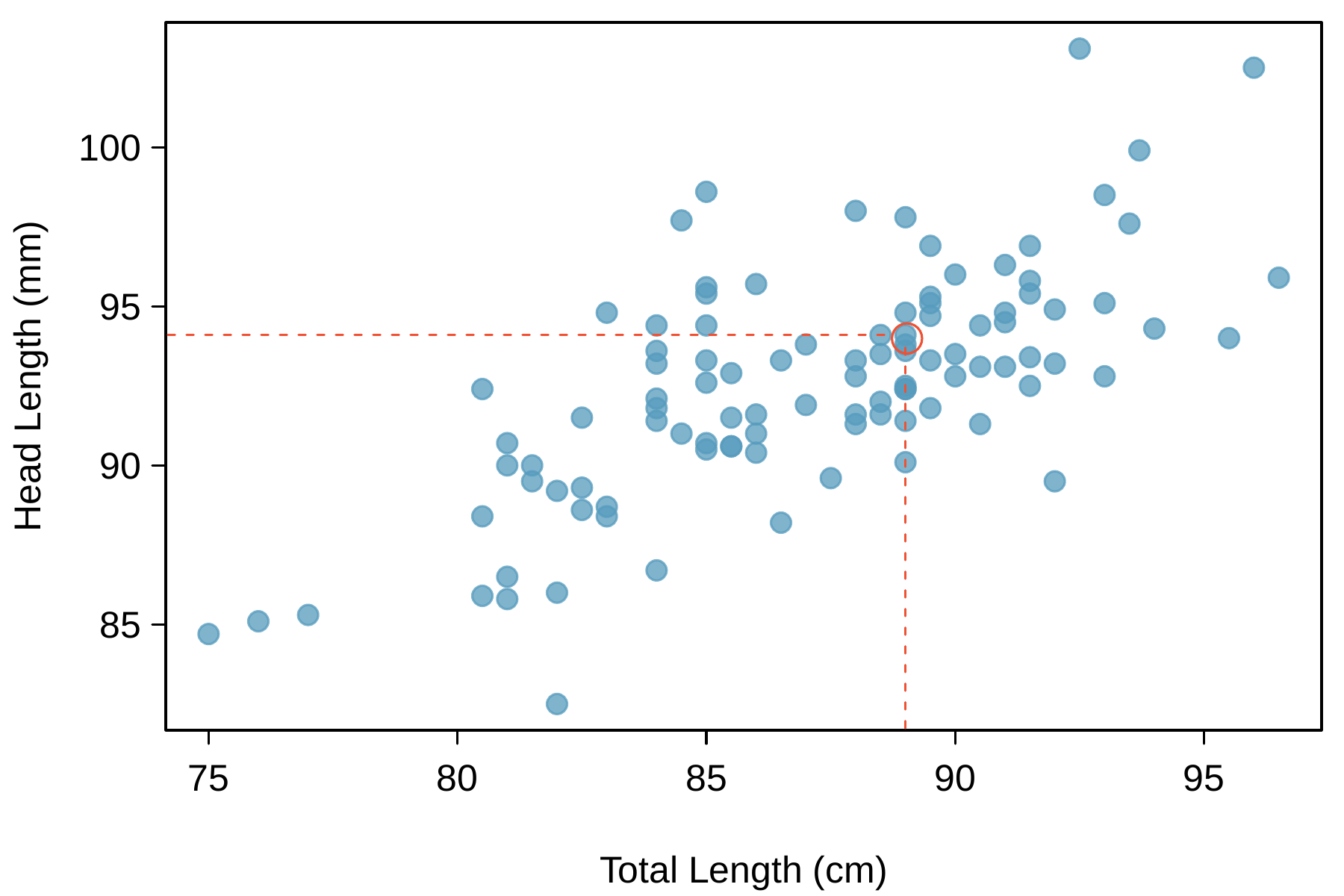 A scatterplot showing head length against total length for 104 brushtail possums, where the horizontal axis for total length runs from 75 centimeters to about 97 centimeters (2.5 to 3.3 feet) and the vertical axis for head length runs from about 82 millimeters up to about 104 millimeters (3 to 4 inches). For possums with a total length between 75 to 80 centimeters, there are three points shown, each with head lengths of about 85 millimeters. For possums with total length from 80 to 85 centimeters, most head lengths range from about 85 millimeters to 95 millimeters. For possums with total lengths from 85 to 90 centimeters, head lengths mostly lie between 90 millimeters and 97 millimeters. For possums with total lengths larger than 90 centimeters, the head lengths are mostly between 93 millimeters and 100 millimeters. The trend is evidently upward and approximately linear. A point representing a possum with head length 94.1mm and total length 89cm is highlighted (although not relevant for any other purpose than giving an example or reminder for how a point is read in a scatterplot).