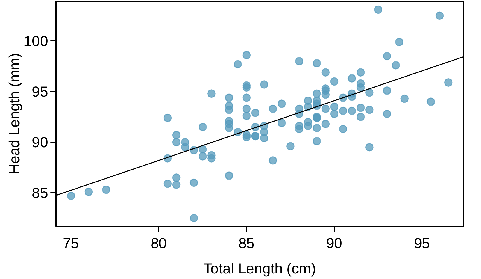 The same scatterplot showing head length against total length for 104 brushtail possums is shown. A linear trend line has been added with an equation of y-hat equals 41 plus 0.59 times x, which shows the clear upward trajectory of the data. Additionally, three points are highlighted. The first is labeled with an "X" and is at approximately (77, 85) and lies about 1 unit below the trend line. A second point labeled with a "plus sign" is at about (85, 98) and appears to be about 7 units above the trend line. The last point highlighted is a "triangle" and is located at about (95, 93) and is about 3 units below the trend line.