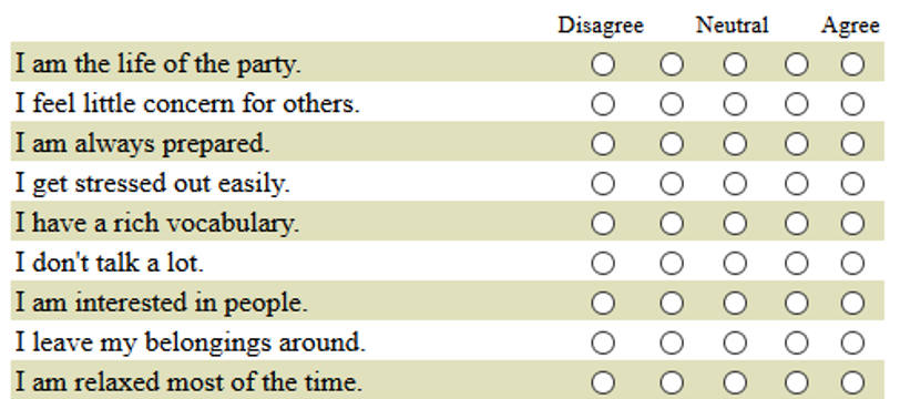 Survey items from the Big Five personality questionnaire showing example questions