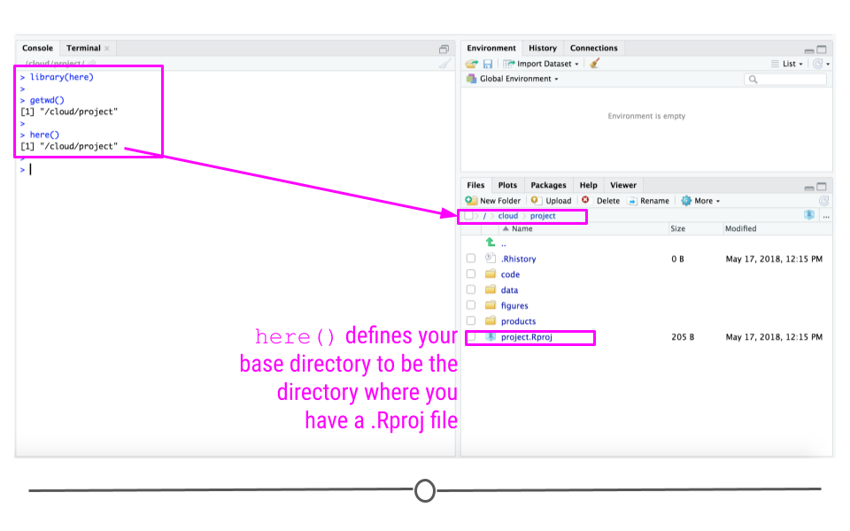 here sets your project directory for future reference using here()
