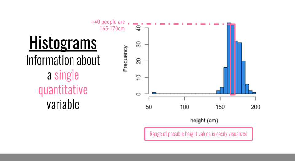 Histogram