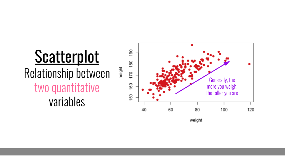 Scatter Plot